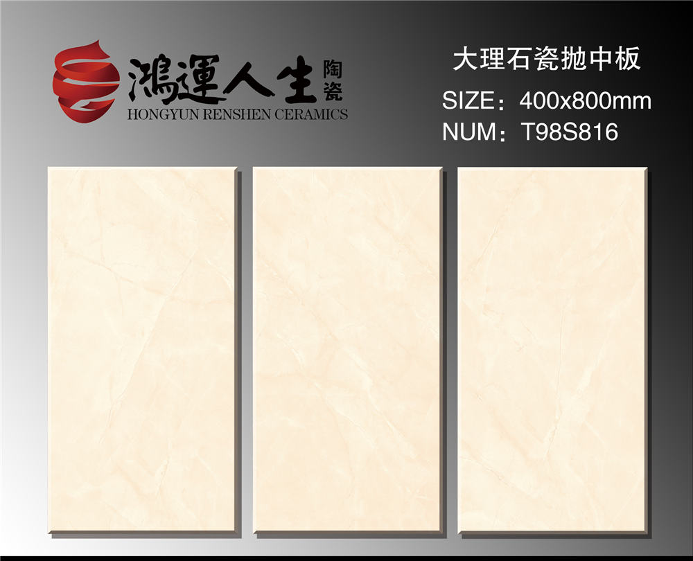 T98S816