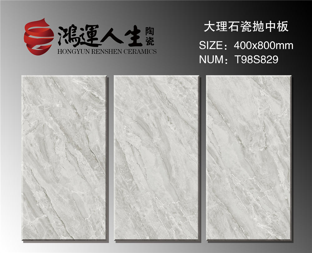 T98S829