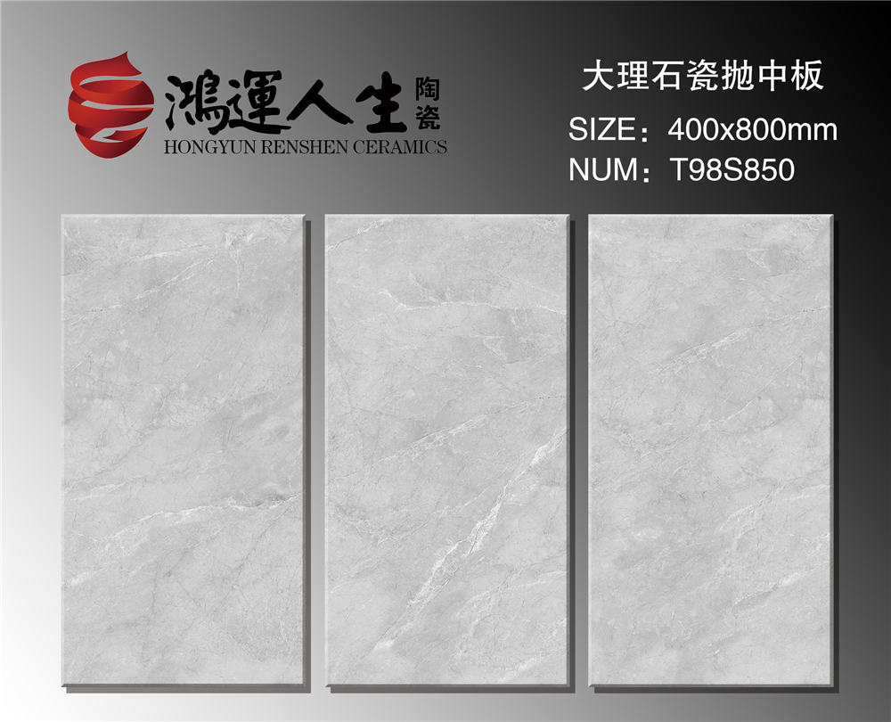 T98S850