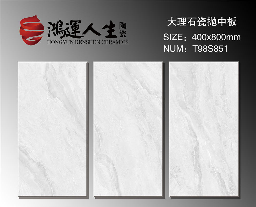 T98S851